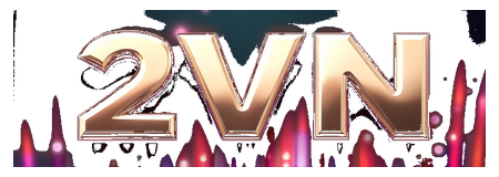 2vn logo